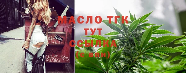 индика Коряжма