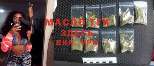 гидра Богородск
