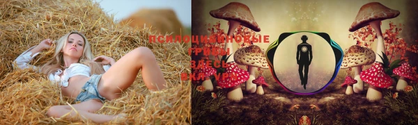 мяу мяу мука Белокуриха