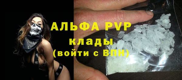 мяу мяу мука Белокуриха