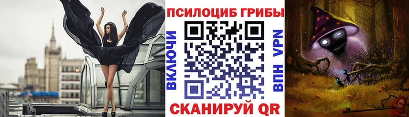 Псилоцибиновые грибы мухоморы  даркнет сайт  Онега 